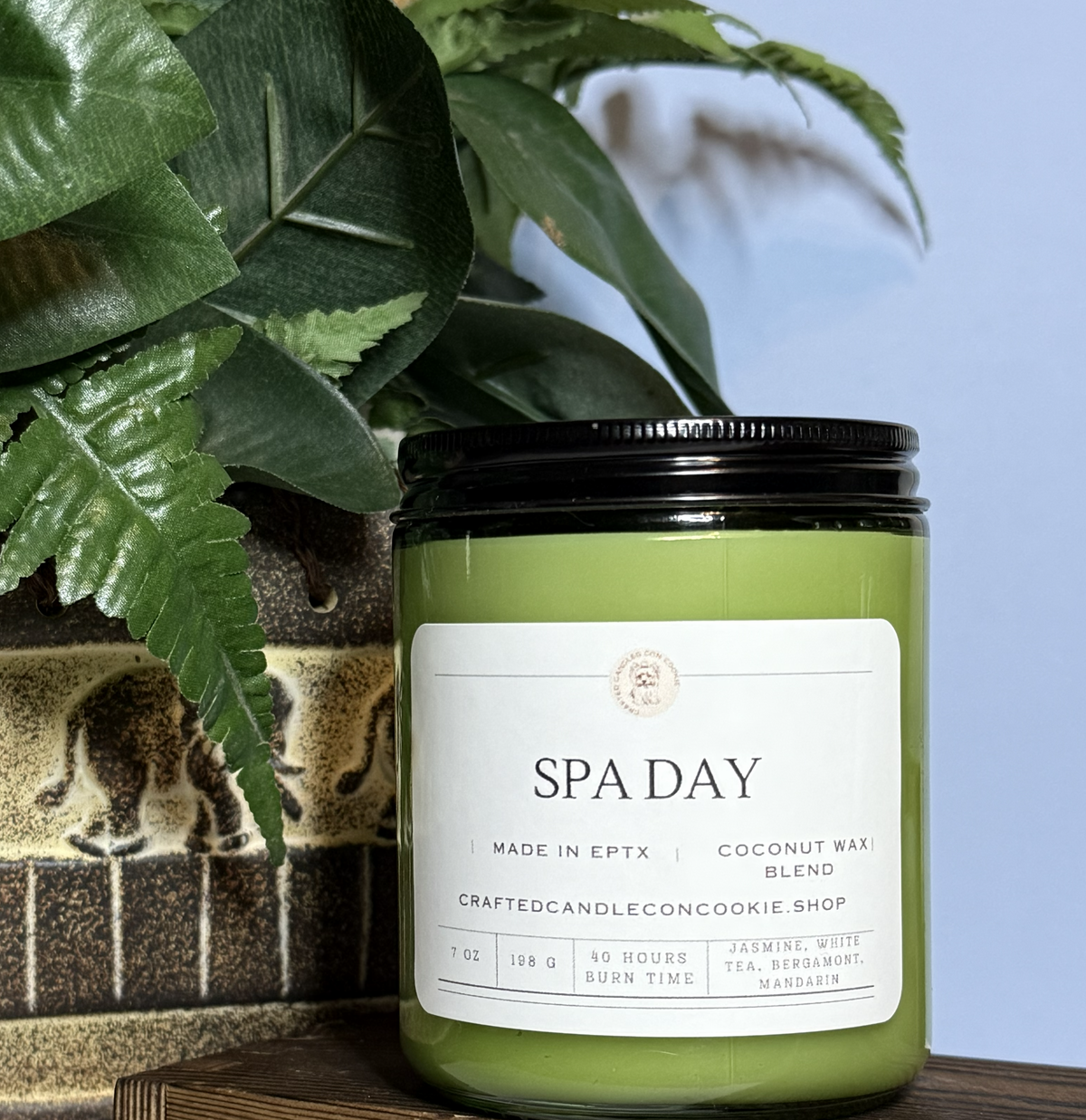 Spa Day